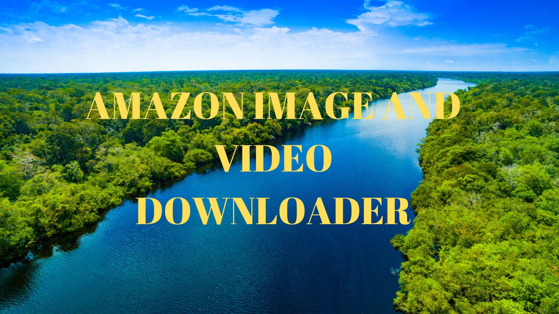 Streamline Your Downloads: Amazon Image and Video Downloader